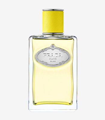 Parfume - Infusion dylang
